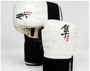 Hayabusa IKUSA 16oz Boxing Gloves