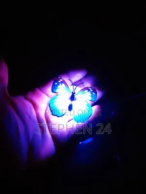 Butterfly LED Decor Lights
