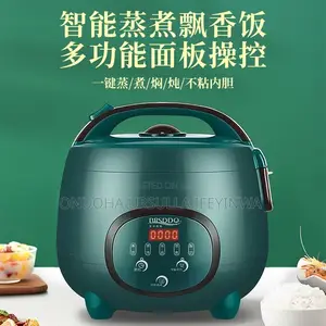 Multi-Functional Electric Rice Cooker