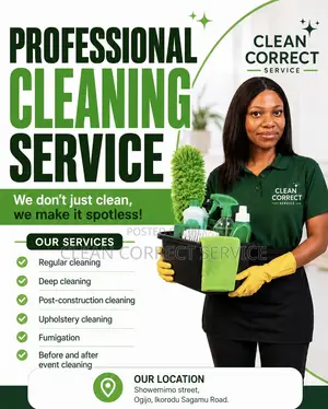 Professional Cleaning Service