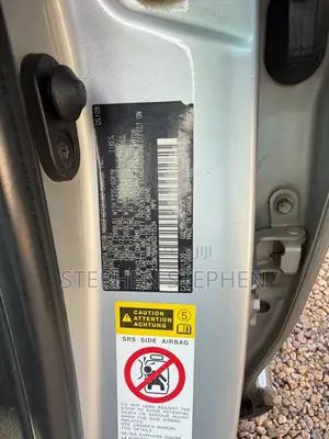 Lexus RX 2010 Silver