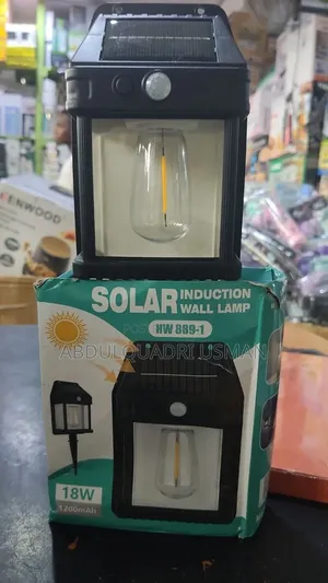 Single Solar Rechargeable Induction Wall Lamp