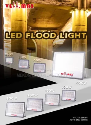 Electric Powered Flood Light
