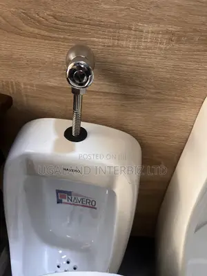 Chrome Urinal Flush Valve