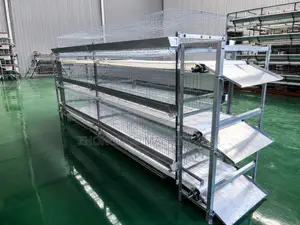 Htype Layer Cages With Manure Belt Remover