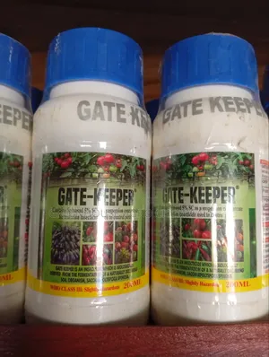 Gate-Kepper
