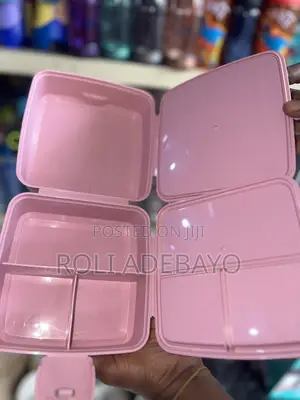 Hobby Life BPA Free Compartment Lunch Box