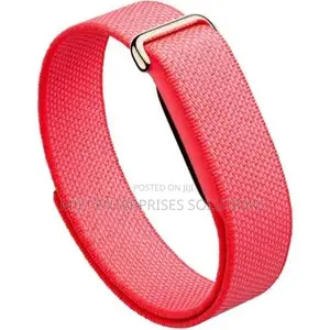 Google Fitbit Air
