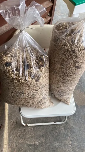 Dog Feed Plain Noodles and Mixed Noodles