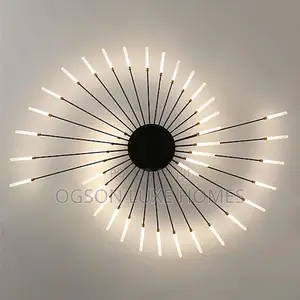 Luxury Led Ceiling Light