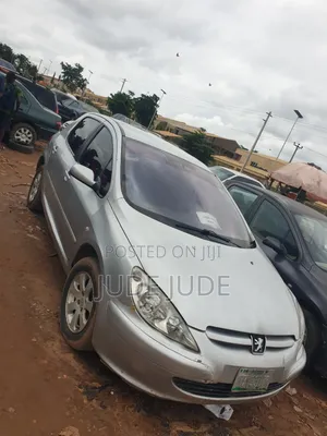 Peugeot 307 2007 Gray