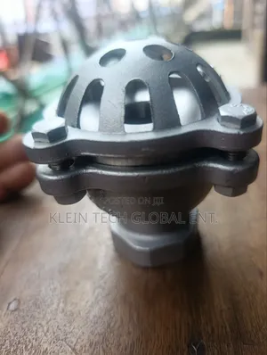 Original Stainless Foot Valve