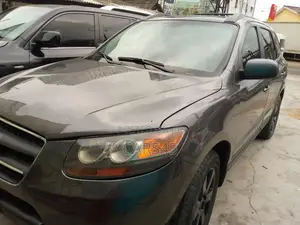 Hyundai Santa Fe 2007 Gray