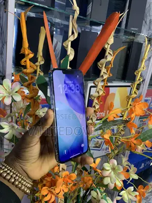 Apple iPhone 13 Pro 256 GB Blue