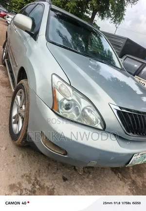 Lexus RX 2008 Gray