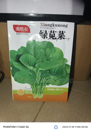 Lettuce Seed