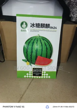 Watermelon Seeds