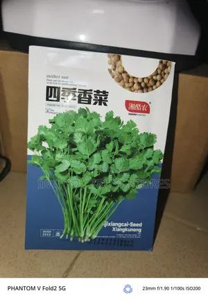 Coriander Seeds
