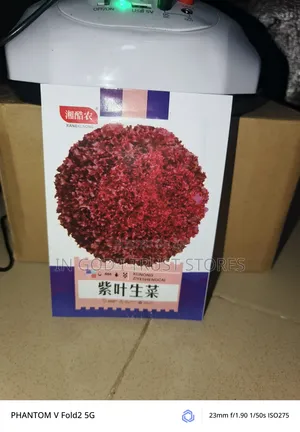 Purple Leaf Lettuce Seed