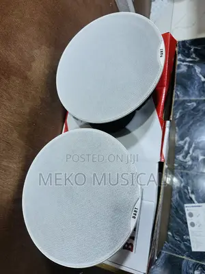 Bluetooth Ceiling Speaker