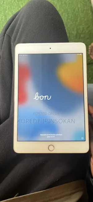 Apple iPad mini 4 16 GB Gray