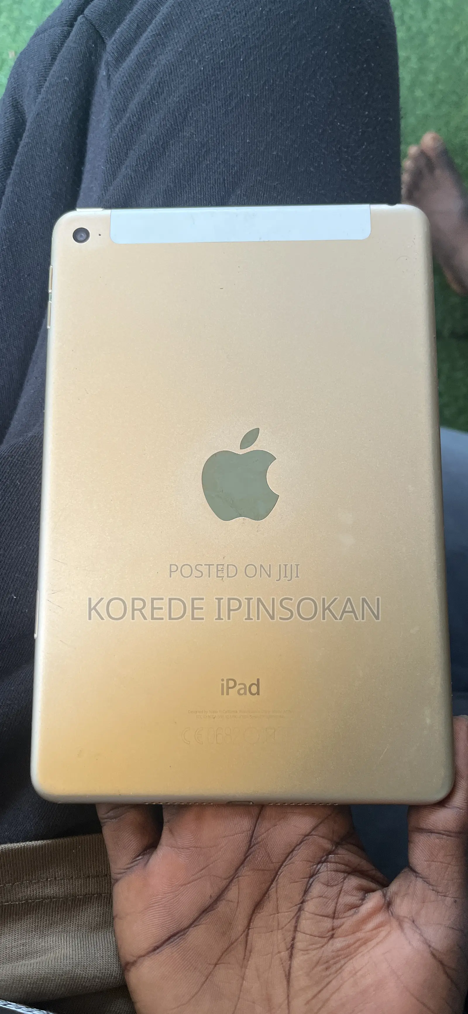 Apple iPad mini 4 16 GB Gray