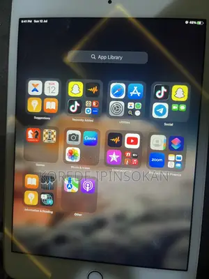 Apple iPad mini 4 16 GB Gray
