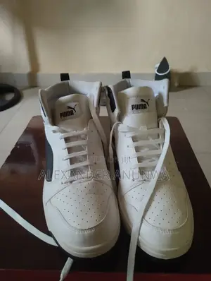 Puma for Sale