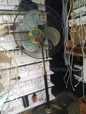 Standing Fan