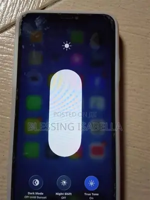Apple iPhone 11 Pro Max 256 GB Gray