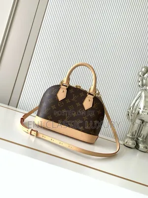 Louis Vuitton Luxury Women Handbags Best Quality Well Branded Package