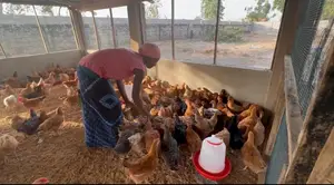 Farm Workers Needed