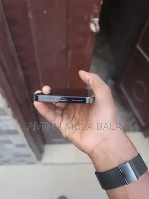 Apple iPhone 12 Pro Max 256 GB Blue