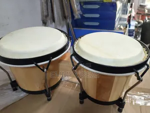 Small Bongo