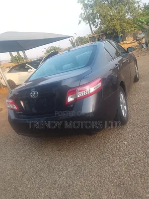 Toyota Camry 2010 Gray