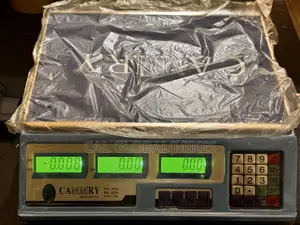 Camry Scale
