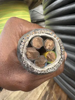 35mmx5core Armored Cable