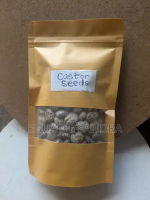 Castor Seeds (100g)
