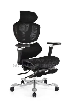 Premium Ergonomic Office Chair.