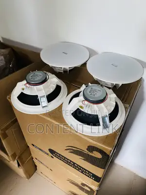 30watts Passive Ceiling/Pop Speakers