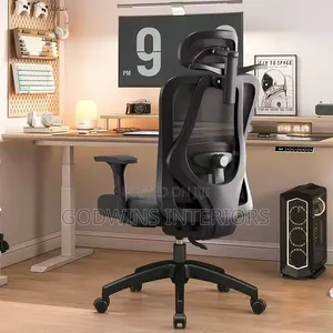 Premium Ergonomic Mesh Office Chair With Adjustable Headrest