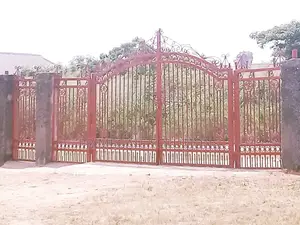 Double Iron Swing Gates