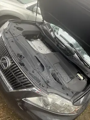 Lexus RX 350 2010 Gray