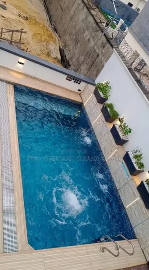 Pool Washing and Maintenance Services