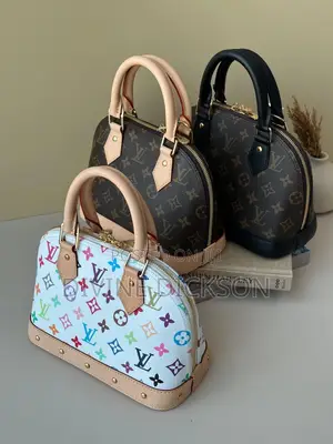 * Louis Vuitton Handbag * Luxury Ladies Handbag