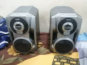 Sony Dual Hybrid Speaker.
