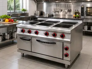 6 Plates Electric Cooker With Oven