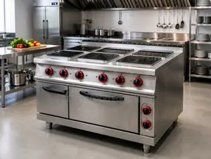 6 Plates Electric Cooker With Oven