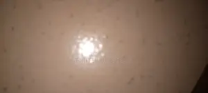 Cleaning Services