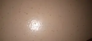 Cleaning Services
